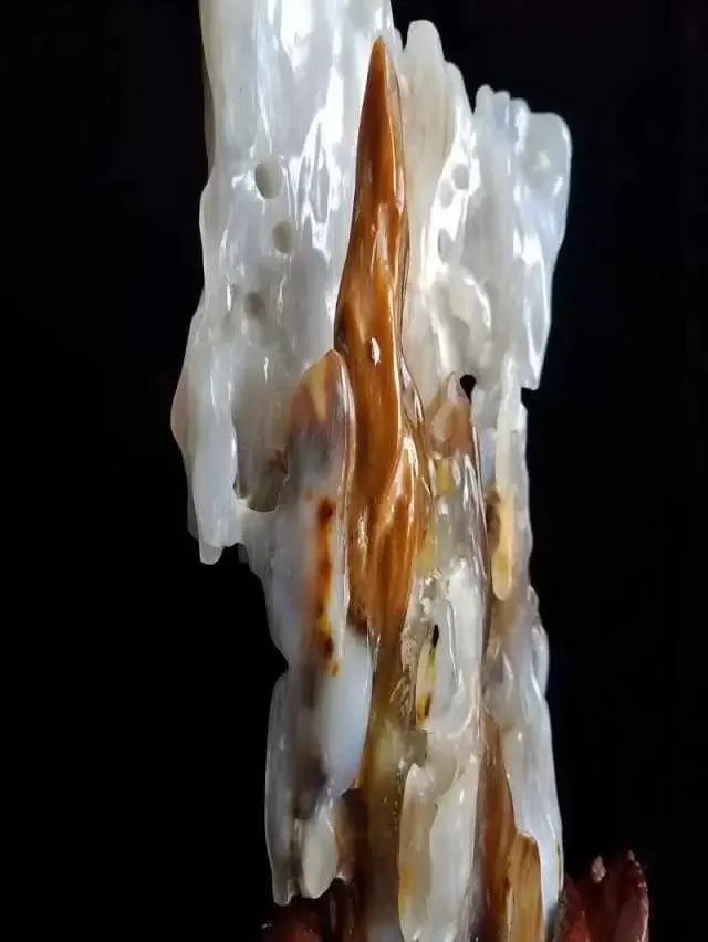 真正的树化石价格