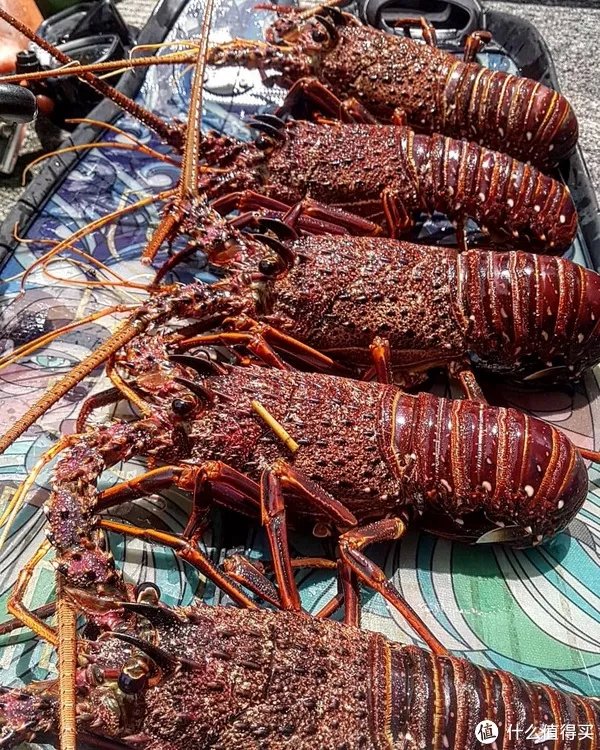 龙虾怎么做好吃