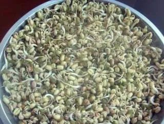 生绿豆芽