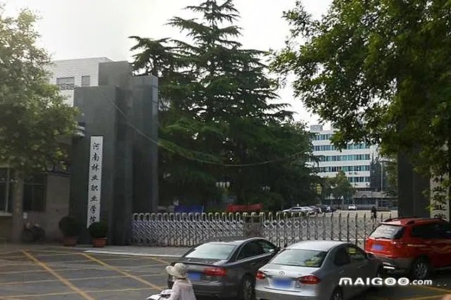 2022年泰安市大学排行 泰安大学名单一览【大学名录】