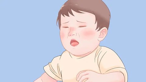 婴儿百日咳是什么原因造成的