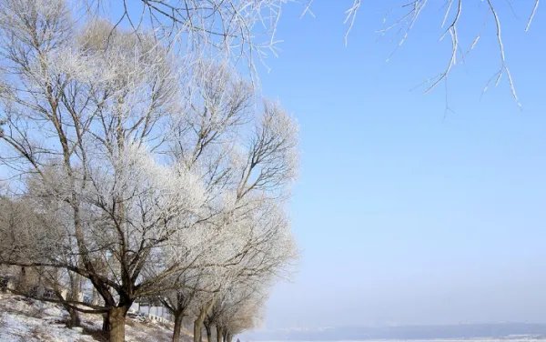 雾气雾花,雾凇分别是什么?