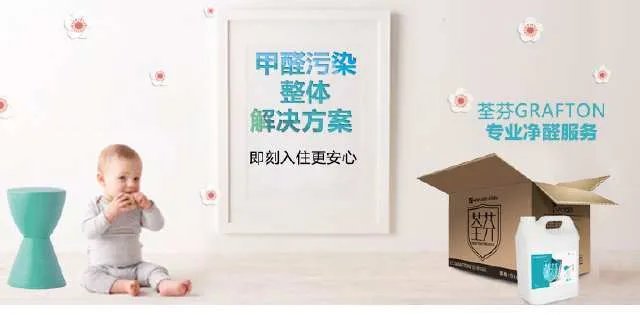 荃芬真正除甲醛