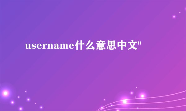 username什么意思中文
