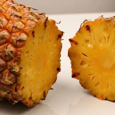 怀孕能吃鸭肉吗