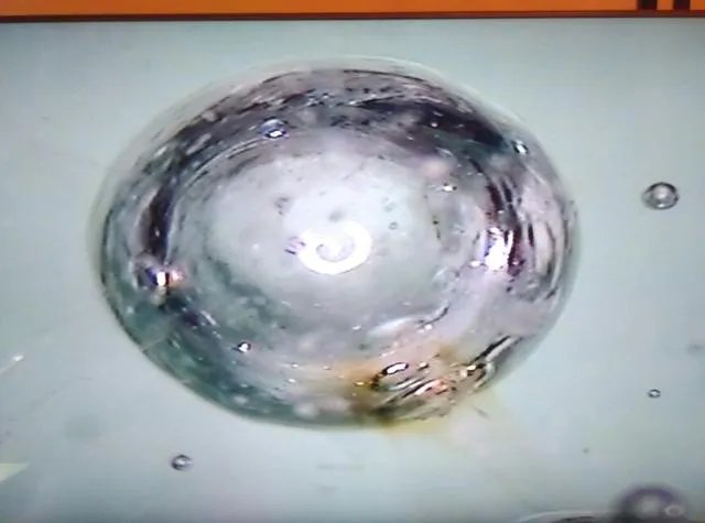 恒星的一生是怎样的?