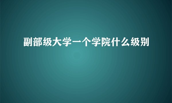副部级大学一个学院什么级别
