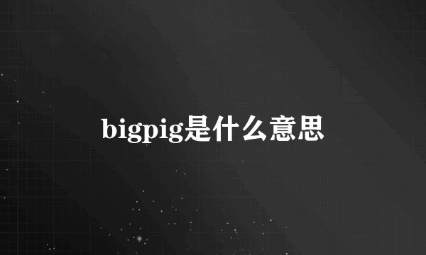 bigpig是什么意思