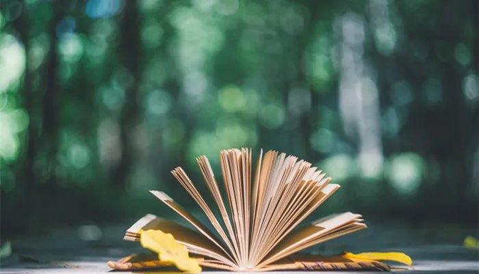 衢怎么念 衢怎么念的