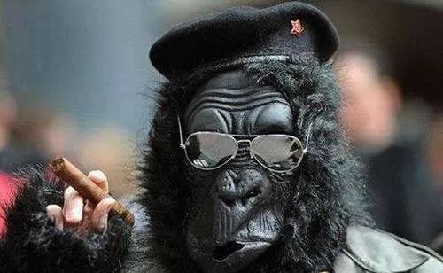 猩猩将军的介绍