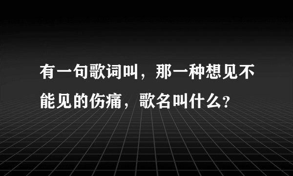有一句歌词叫，那一种想见不能见的伤痛，歌名叫什么？