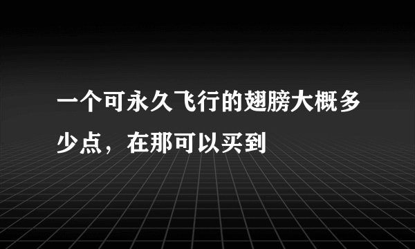 一个可永久飞行的翅膀大概多少点，在那可以买到
