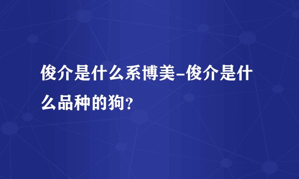 俊介是什么系博美-俊介是什么品种的狗？