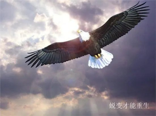 你童年的梦想是什么?