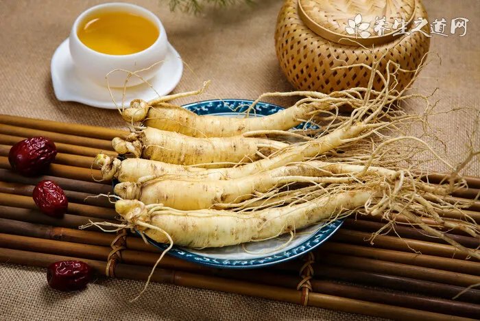 德牧幼犬怎么训练 德牧幼犬训练教程