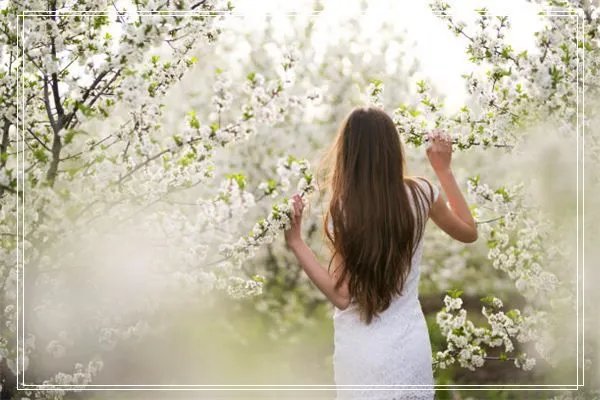 梦见准备请客吃饭
