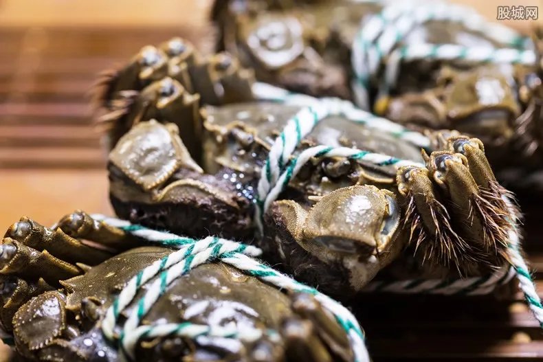 阳澄湖大闸蟹涨价 今年大闸蟹价格上涨多少？