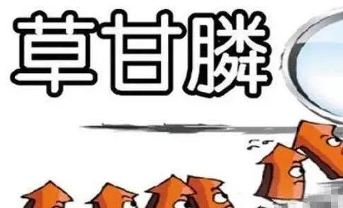 美国禁用草甘膦，大家怎么看待这个事情？