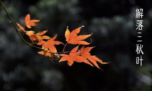 风是什么声音？用三个字来说，比如丁零零的玲声