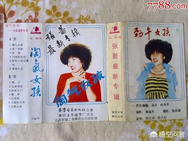 如何评价歌手张蔷?