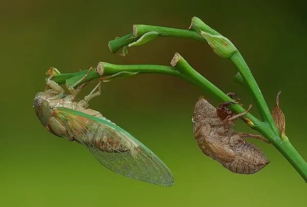 你童年的梦想是什么?
