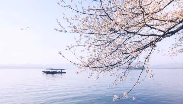 钱塘湖春行中的钱塘湖位于哪里