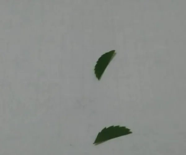 小兔子手工制作方法