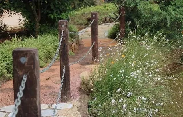 昆明，你就是个P！