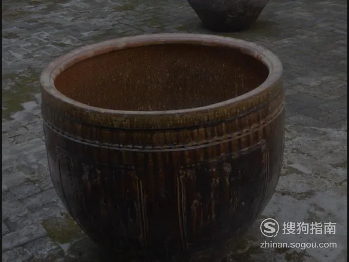 缸里种莲藕的方法图片