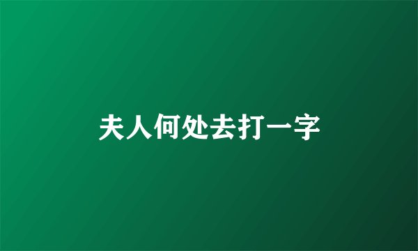夫人何处去打一字