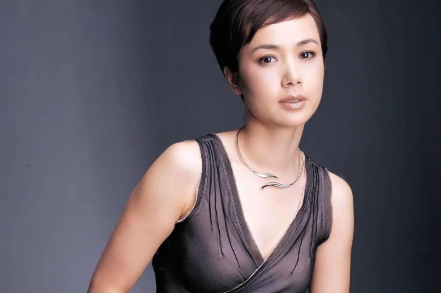 蒋雯丽主演的电视剧有哪些