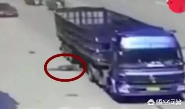 碰瓷失败被压死