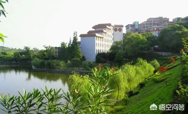 重庆文理学院究竟是一所什么档次的大学？哪些专业好？ ？