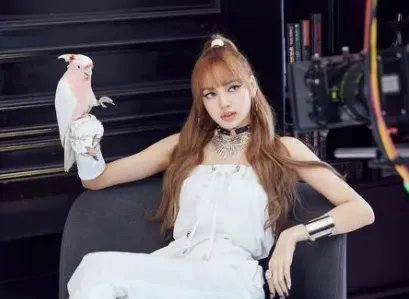 lisa是泰国和哪的混血