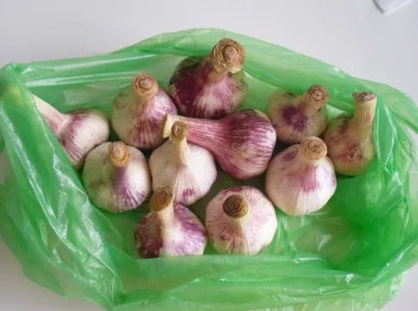 糖醋泡蒜的正确做法