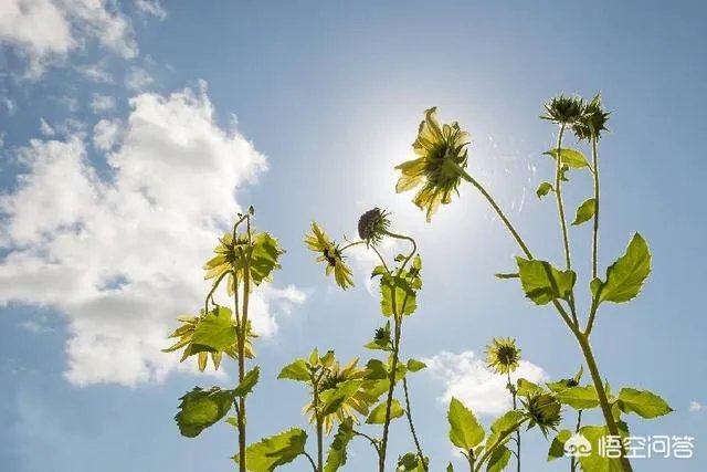 最后的温柔,分手那天你默默为对方做过什么事?