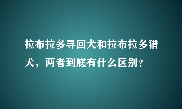 拉布拉多寻回犬和拉布拉多猎犬，两者到底有什么区别？