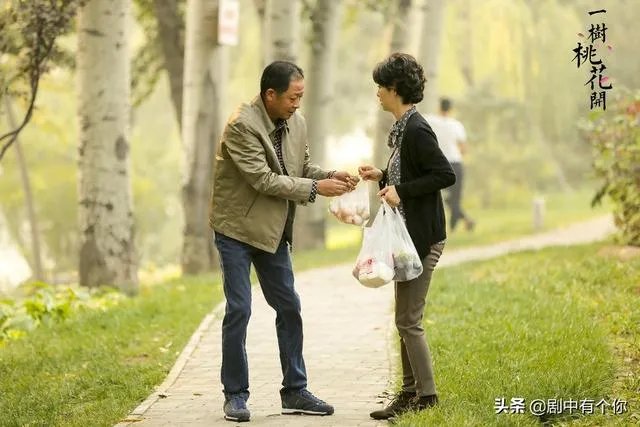 电视剧《一树桃花开》，相比盛开，为啥狄英最后能治服罗耀辉母？