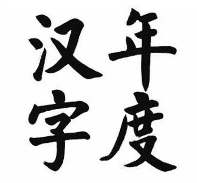 年度汉字是什么意思