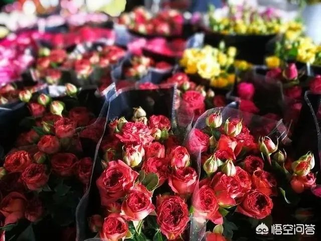 云南有哪些大的鲜花市场？