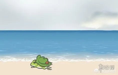 《旅行青蛙》这么可爱一定是男孩子！我家的蛙性别确认