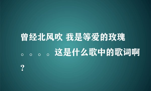 曾经北风吹 我是等爱的玫瑰。。。。这是什么歌中的歌词啊？