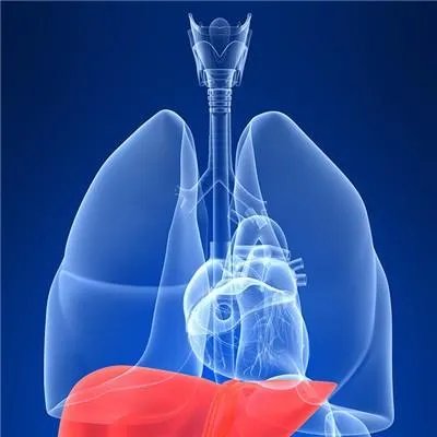 肝脏不好的症状有哪些