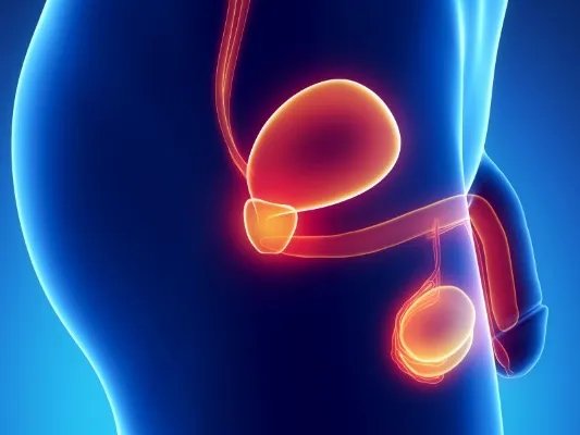 尿结石的症状有哪些