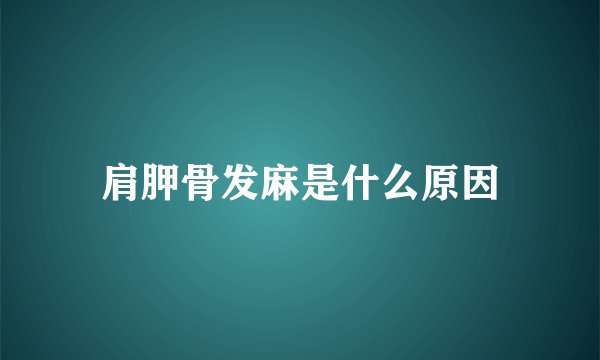 肩胛骨发麻是什么原因
