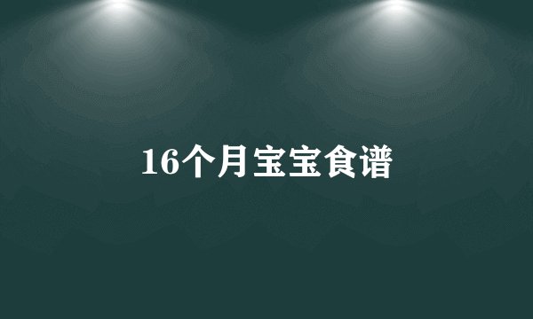 16个月宝宝食谱