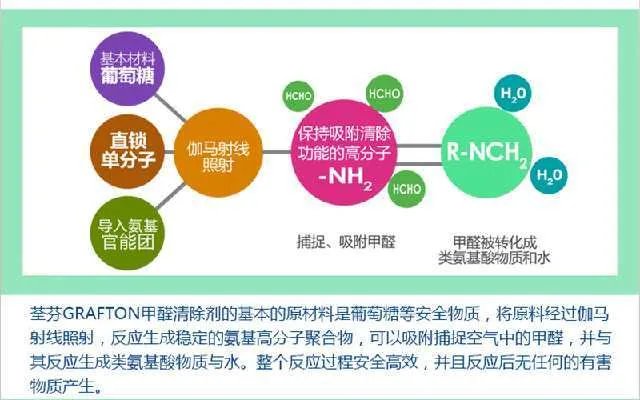 荃芬真正除甲醛