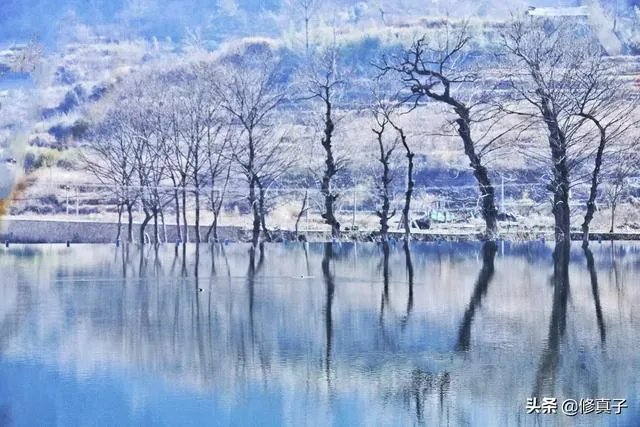 佳能100-400镜头适合拍什么?