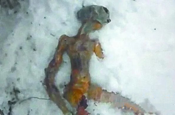 外星人长什么样子真实图片 最真实的外星人照片