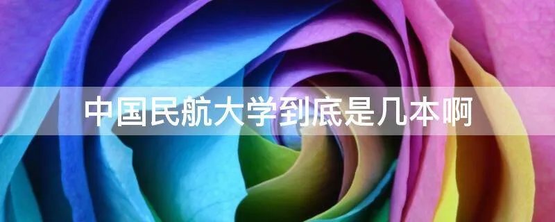 中国民航大学到底是几本啊
